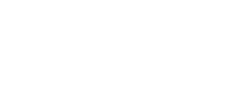 The Valdivieso Group